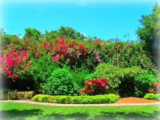 Saint Petersburg Sunken Gardens